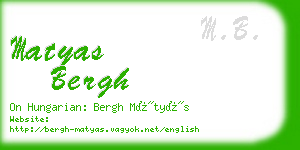 matyas bergh business card